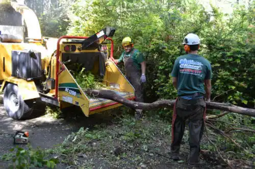 tree services Aspen Park